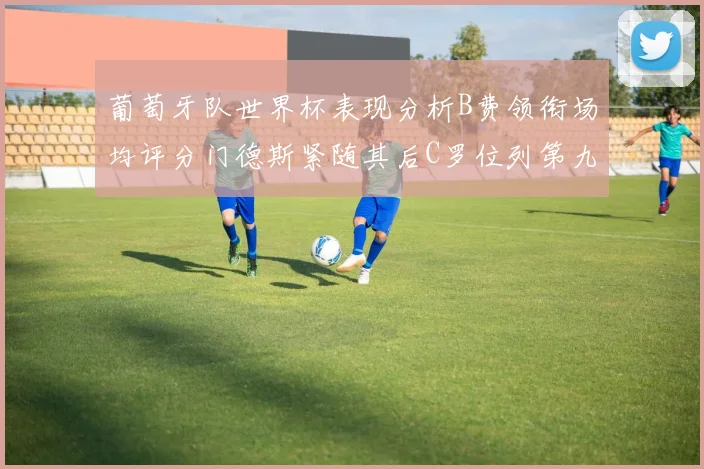 葡萄牙队世界杯表现分析B费领衔场均评分门德斯紧随其后C罗位列第九